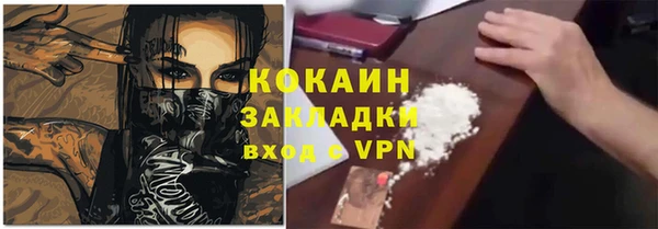 дмт Аркадак